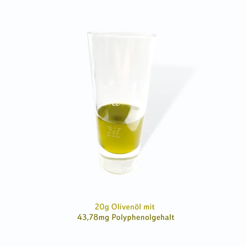 Olivenöl Polyphenole